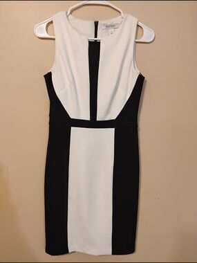 White House Black Market Black and White Panel Sheath Dress